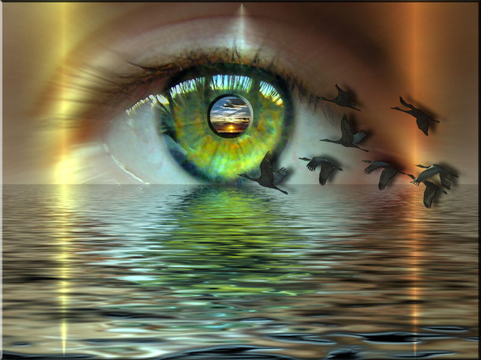 Небо серое прогибает плечи