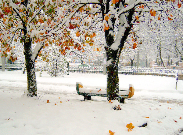 Ну вот и снег...