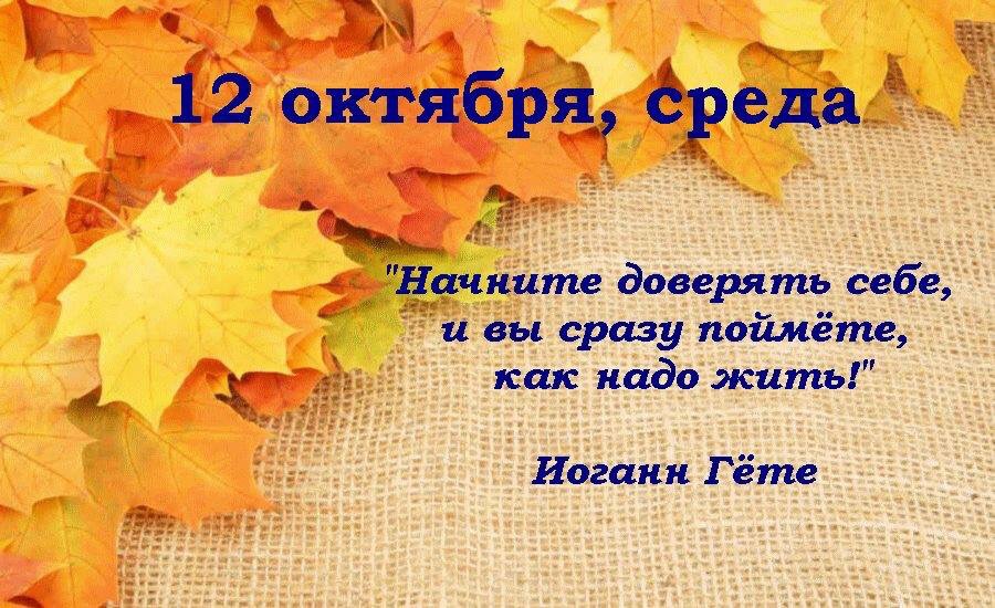 Мысли осени кружатся!