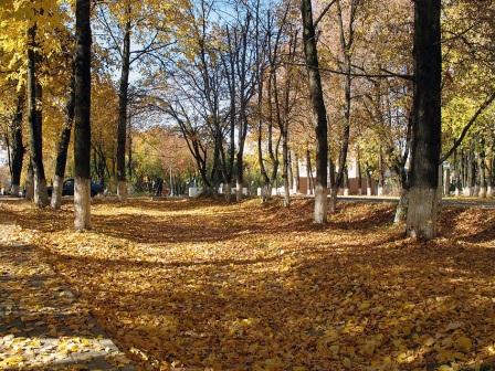 Осень во дворе