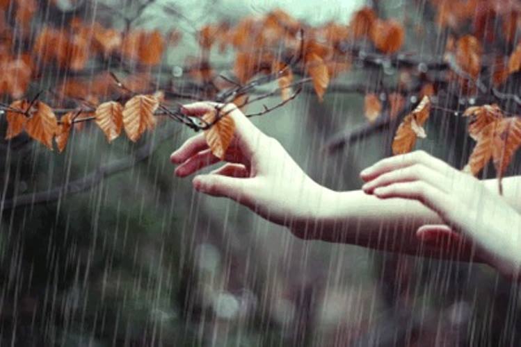 Я хочу тебя видеть без грусти