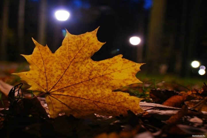 Осенний вечер