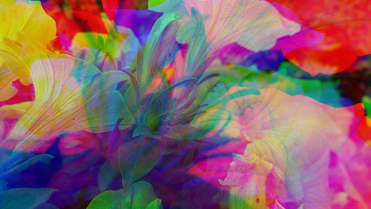 И даже тех что не прощаемы!