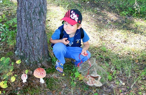 Незадачливый грибник