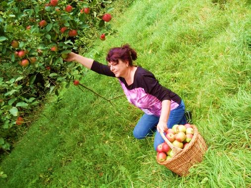 Wer hat irgendetwas begriffen