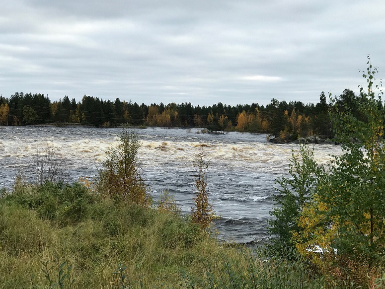 Матигорская отрада