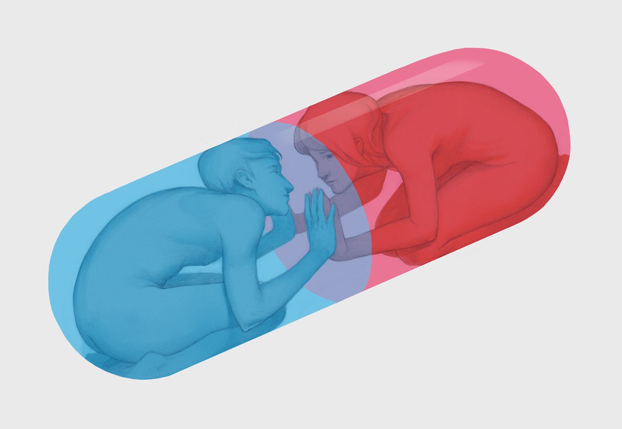 метаморфозы