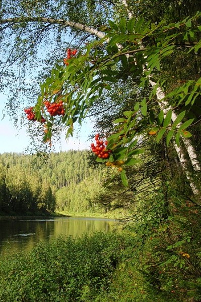 Хочу, чтобы Лето не кончалось!!!