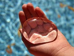 На ладони руки...