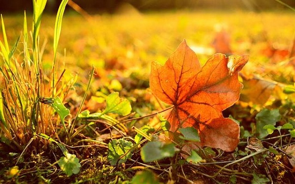 Размышления ни о чём...