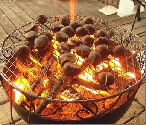 Каштаны в городе. Зарисовка