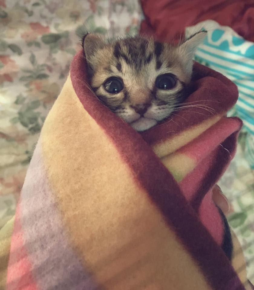421 Д Осени я не боюсь