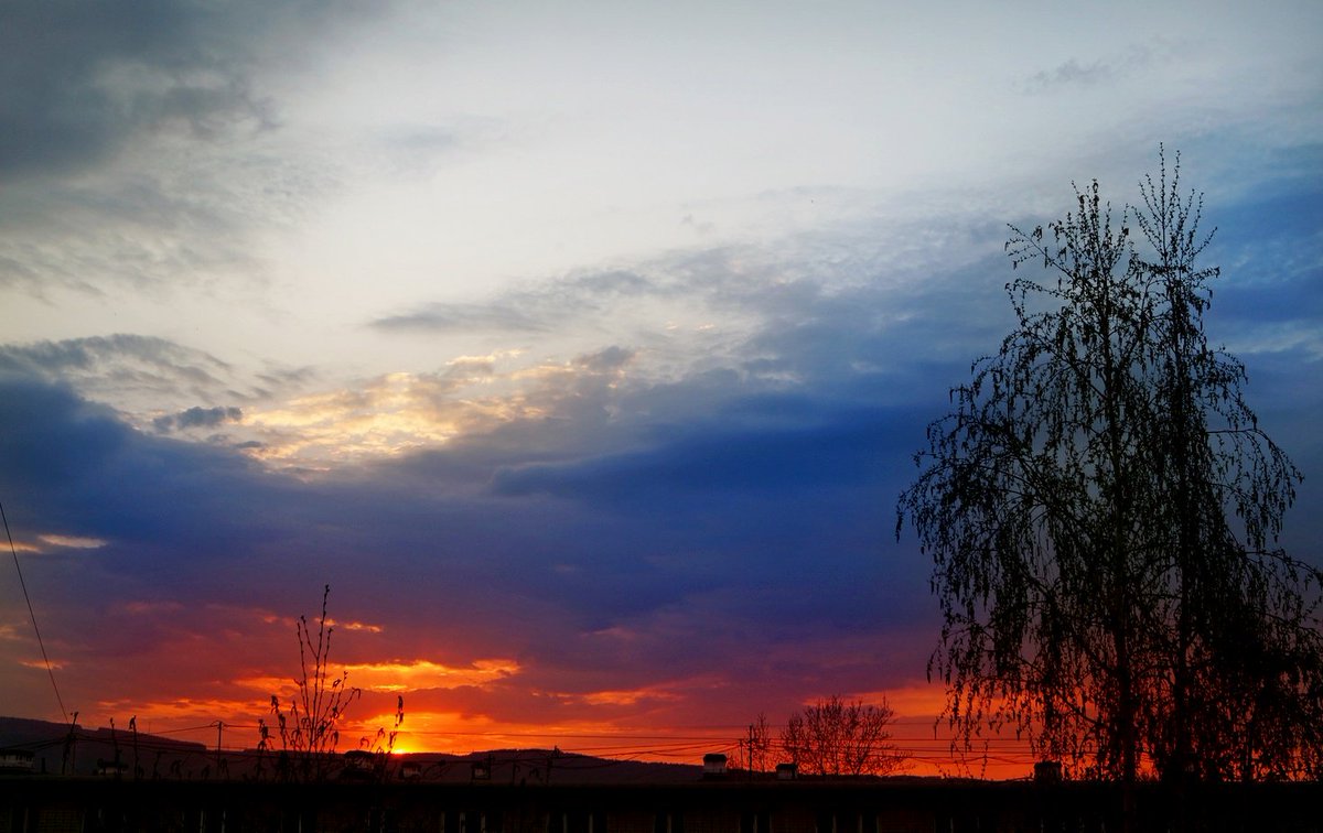 Русский совет