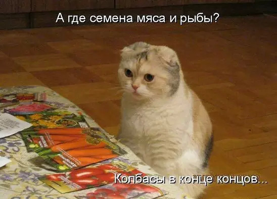 433 Д Дачу, в общем, не люблю