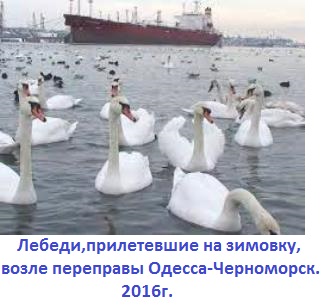 Край, которым горжусь