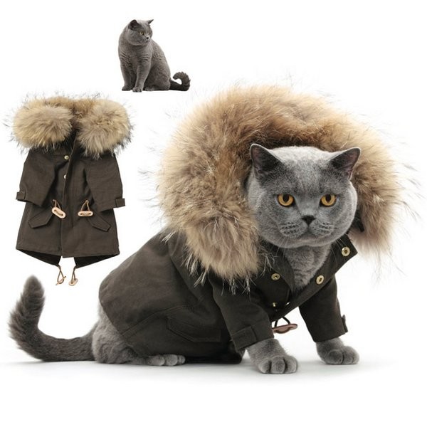 448 Д Коты ведь тоже люди
