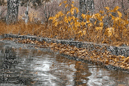 То дождь, то снег...