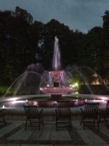 В вечернем курпарке