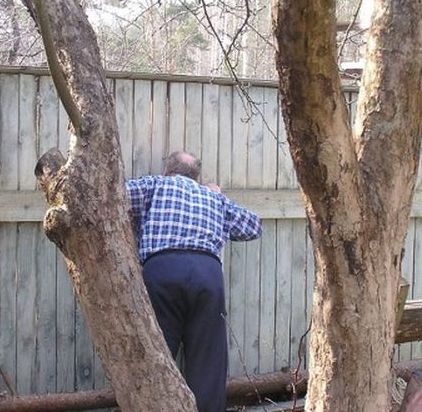Флор и Егор