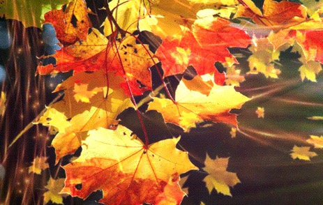 Не хочет осень уходить