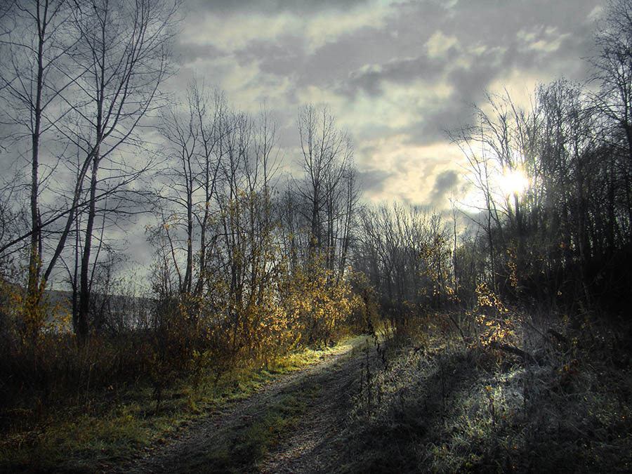 Ну ты и гадость, осень!