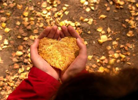 Я расскажу тебе, осень