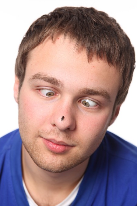 13 А-19 Комарик - кровосос