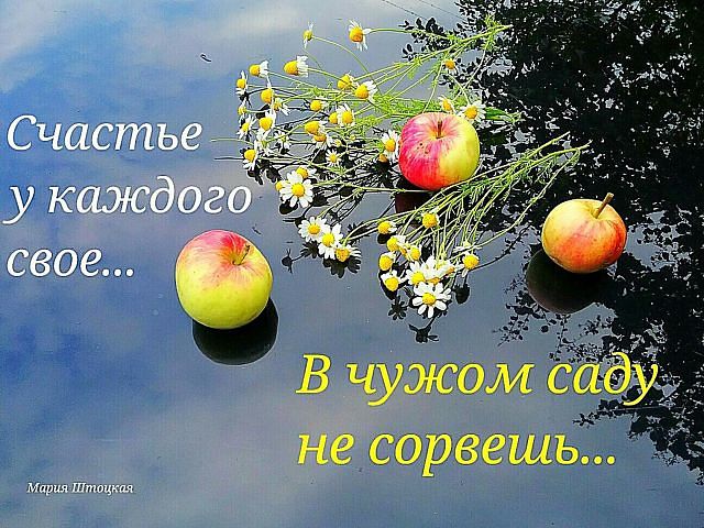 Счастья много не бывает