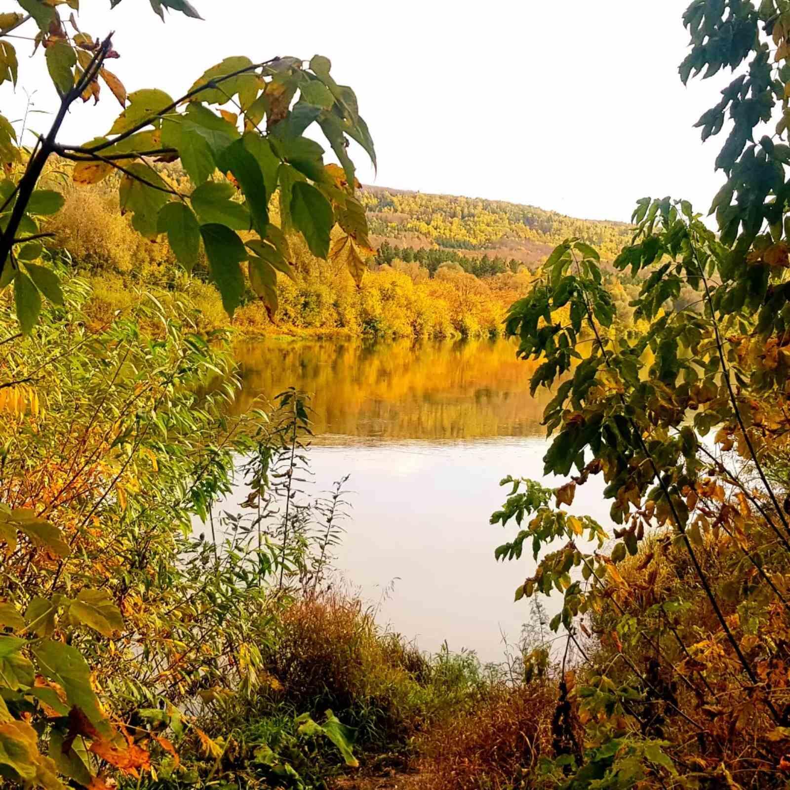 Осенние глаза Подборка стихов