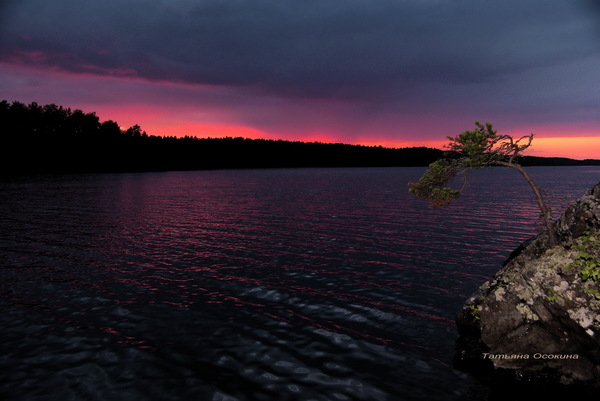 В вечернее странствие душу окликнув