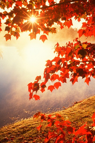 Сегодня солнце, наконец то!