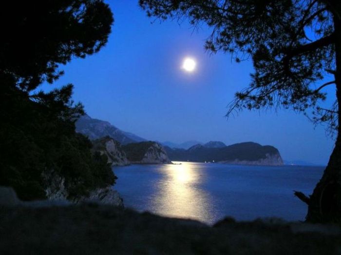 Полной луне и туман нипочем