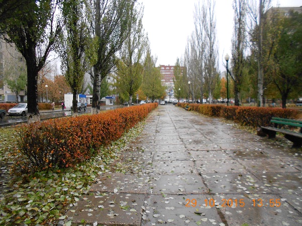 Сегодня небо, синее вчера...