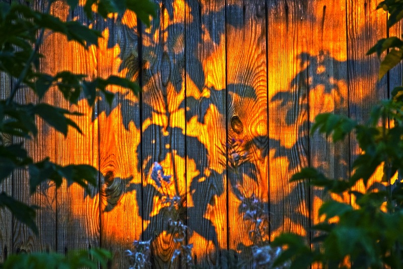 Сентябрь 2014