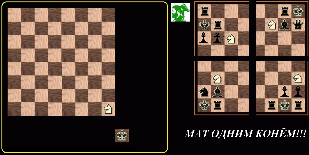 Мат одиноким конём!!!