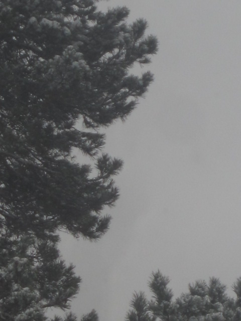 Портрет на фоне неба