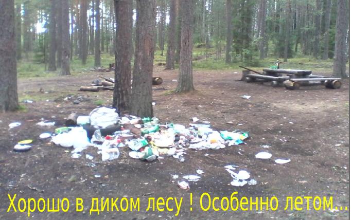 Старуха Шапокляк. Зарисовка про бомжей