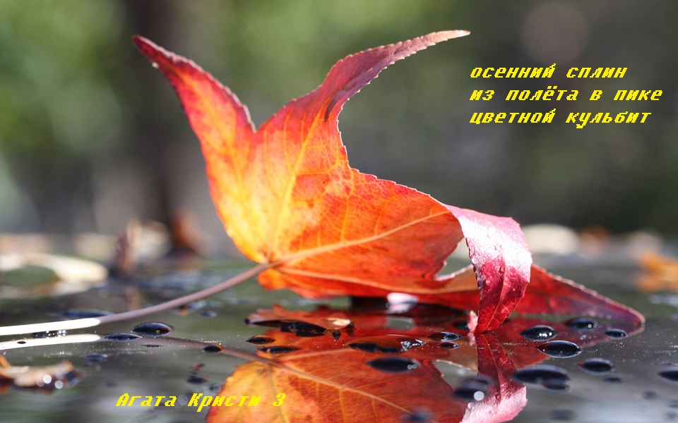 Осенний сплин. Хайга