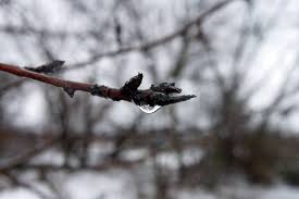 последняя весна