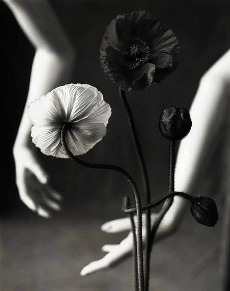 Что будет после...