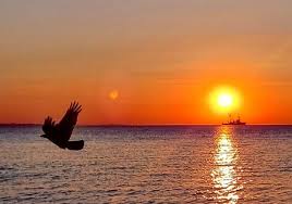 За ночью будет утро