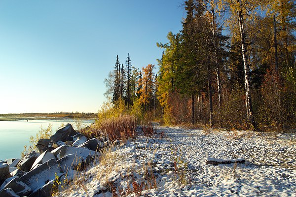 Ребята едут на Ямал