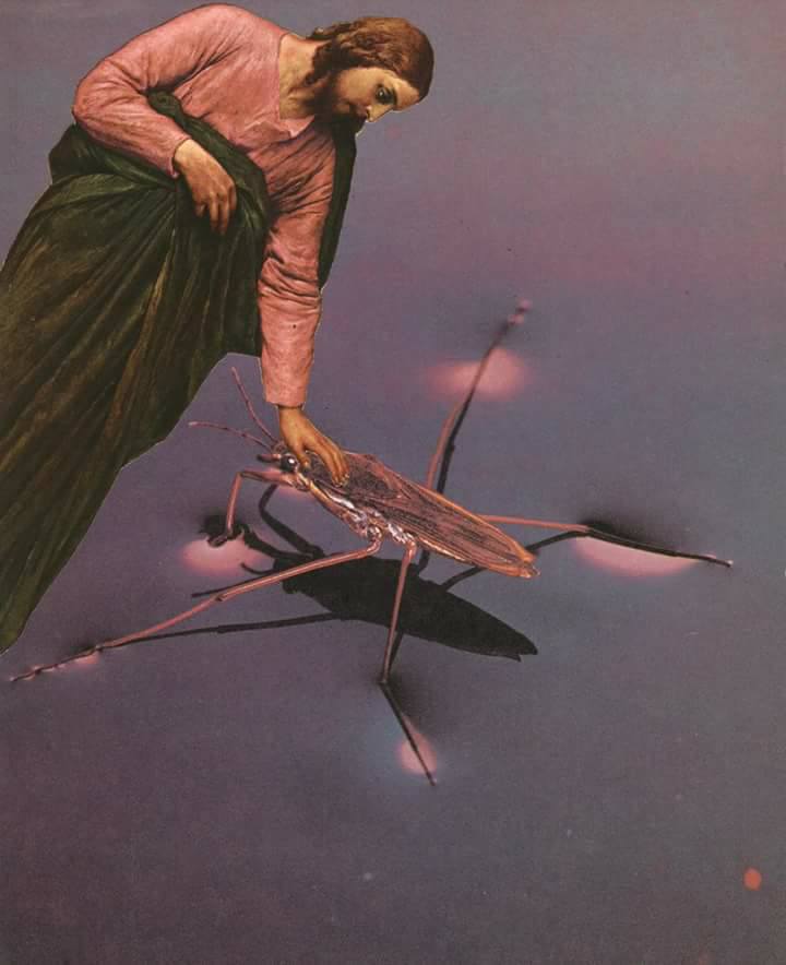 2765.jpg