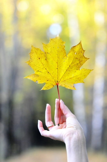 Листья просятся в ладоши...