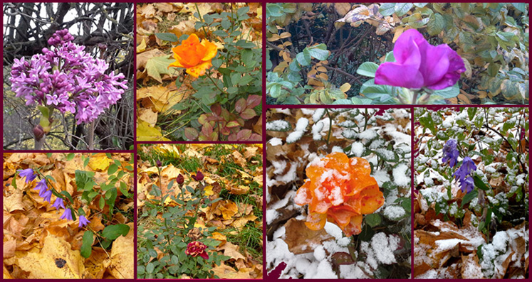 Подмосковный октябрь