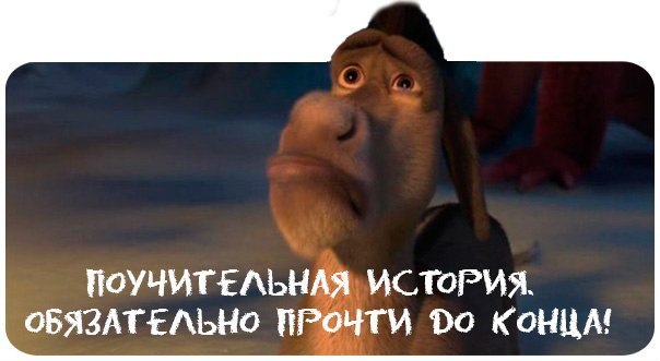 Про Ишака и Медведя!!!