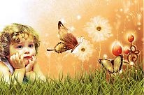 Cолнечный город