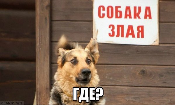 2607 Конкретно Е. Сучкова