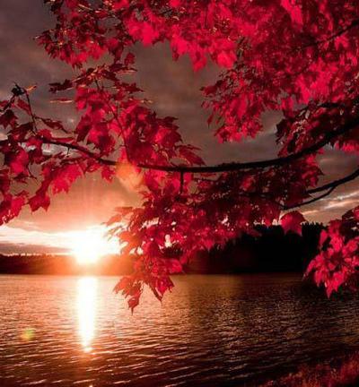 Горит закат, окрасив Осень...