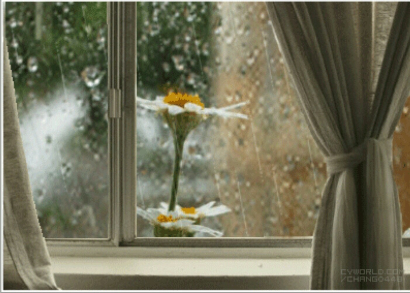 Дождь стучит в окно
